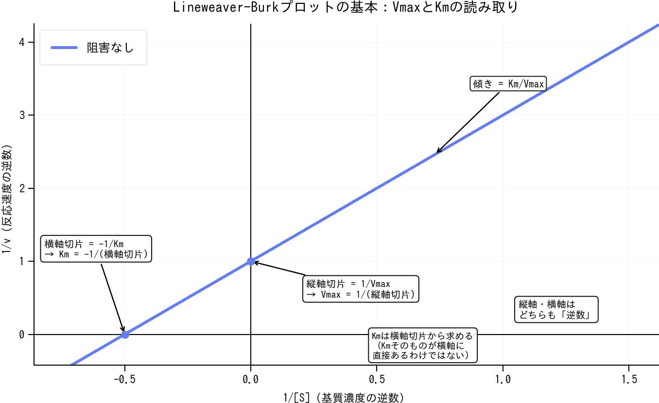 Lineweaver-Burkプロットの基本。縦軸切片が1/Vmax、横軸切片が-1/Km、傾きがKm/Vmaxであることを示した図。