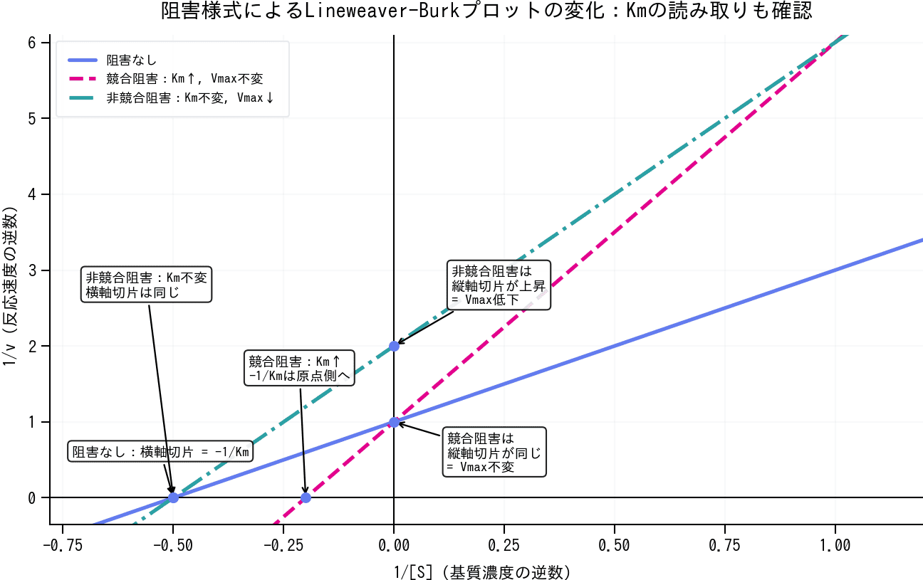 競合阻害と非競合阻害におけるLineweaver-Burkプロットの変化。競合阻害ではKmが上昇して横軸切片が原点側へ移動し、非競合阻害ではVmaxが低下して縦軸切片が上昇することを示した図。